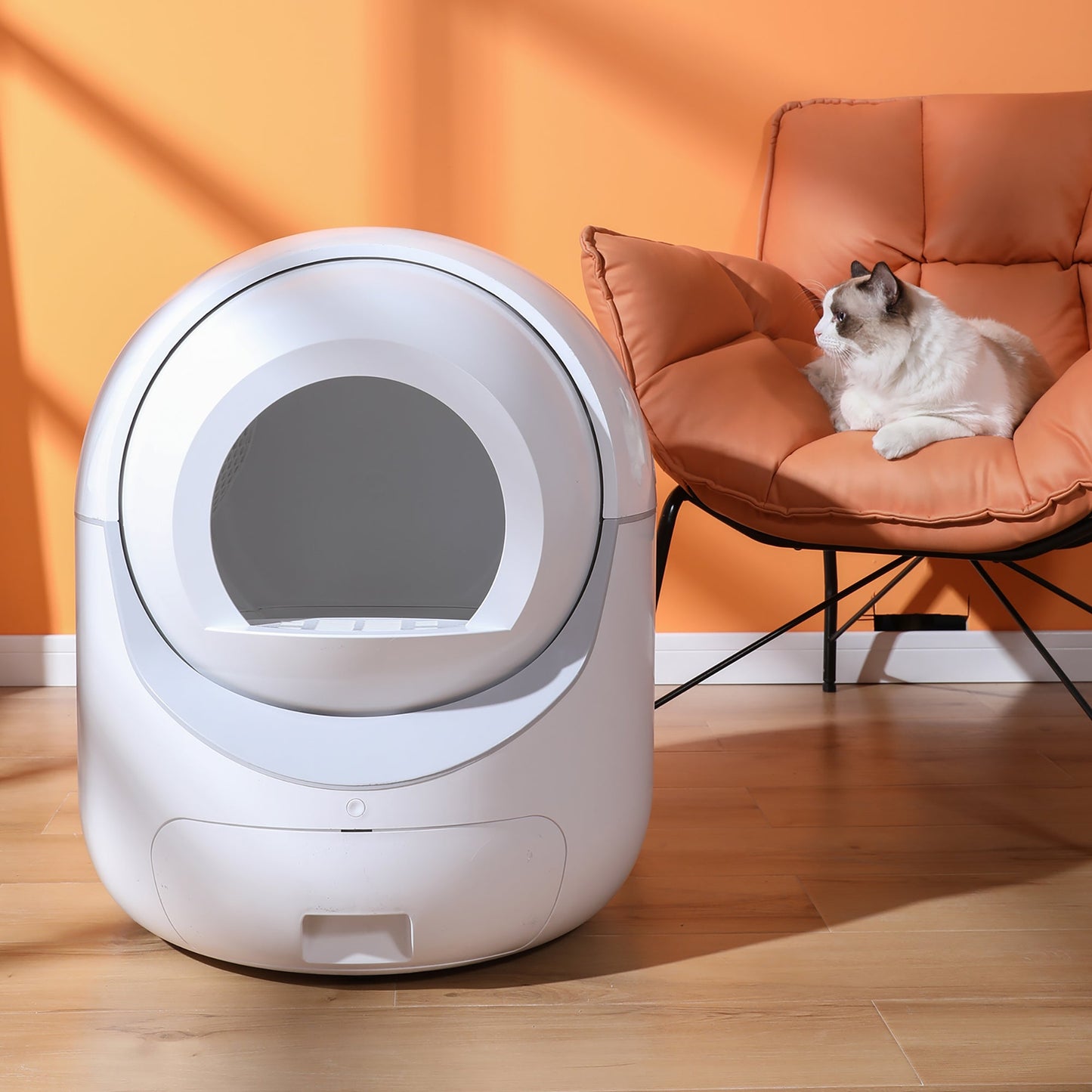 Intelligent cat litter box, automatically eliminates odors, application control