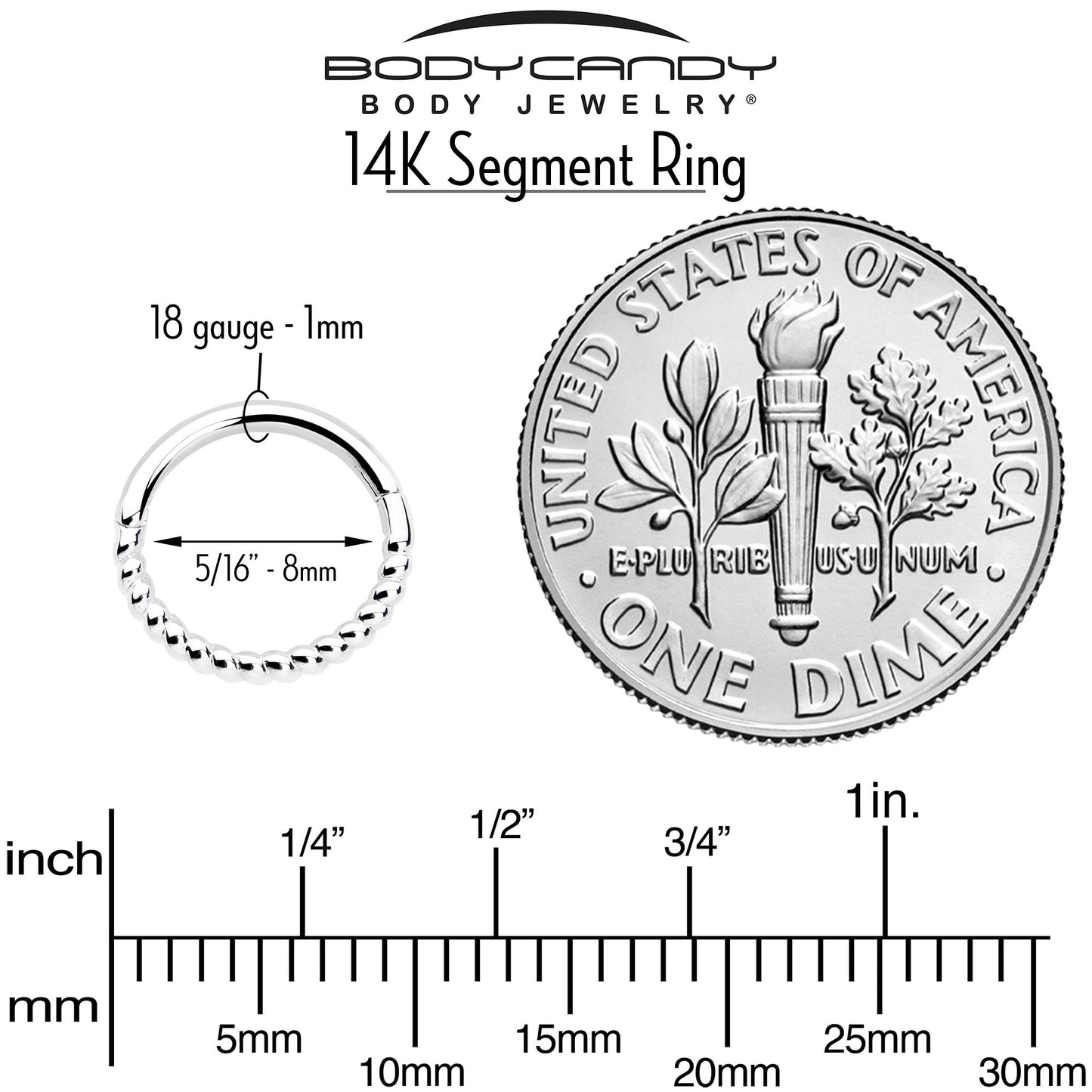 14k Solid White Gold Hinged Segment Ring Forward Facing Twisted 18G 5/16