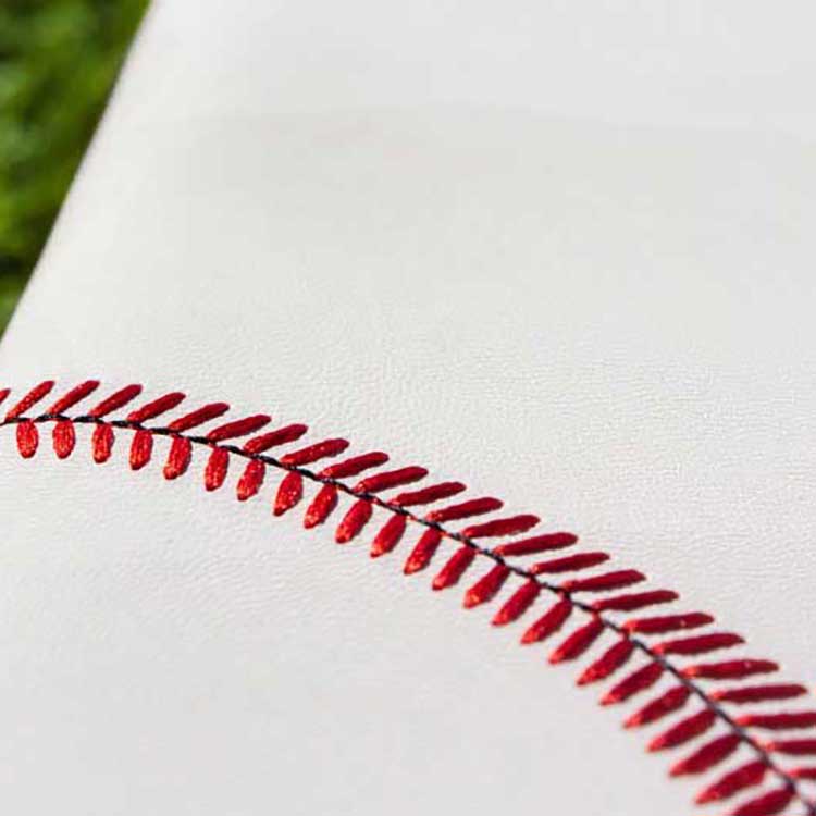 Baseball Eyeglass Case - Authentic Series