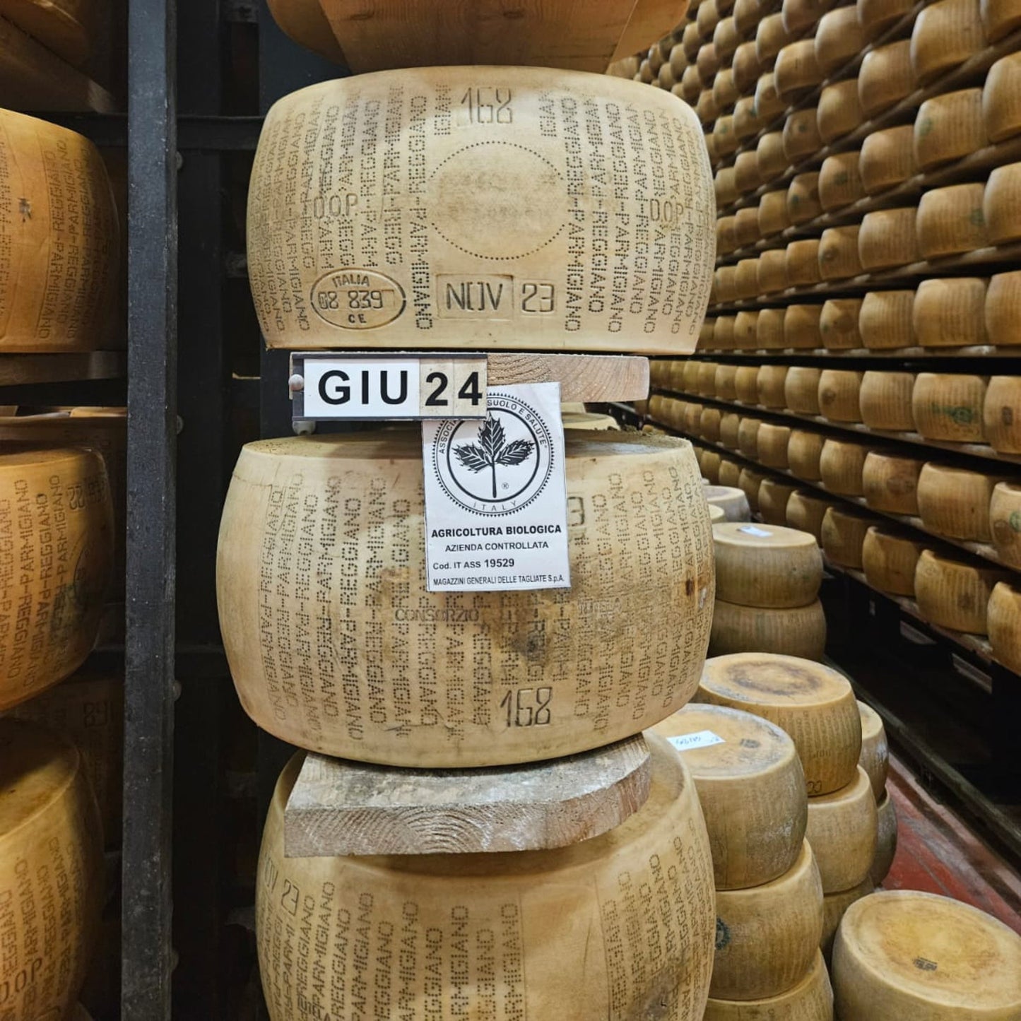 Parmigiano Reggiano Online- 10lb cut ($16.00/pound)
