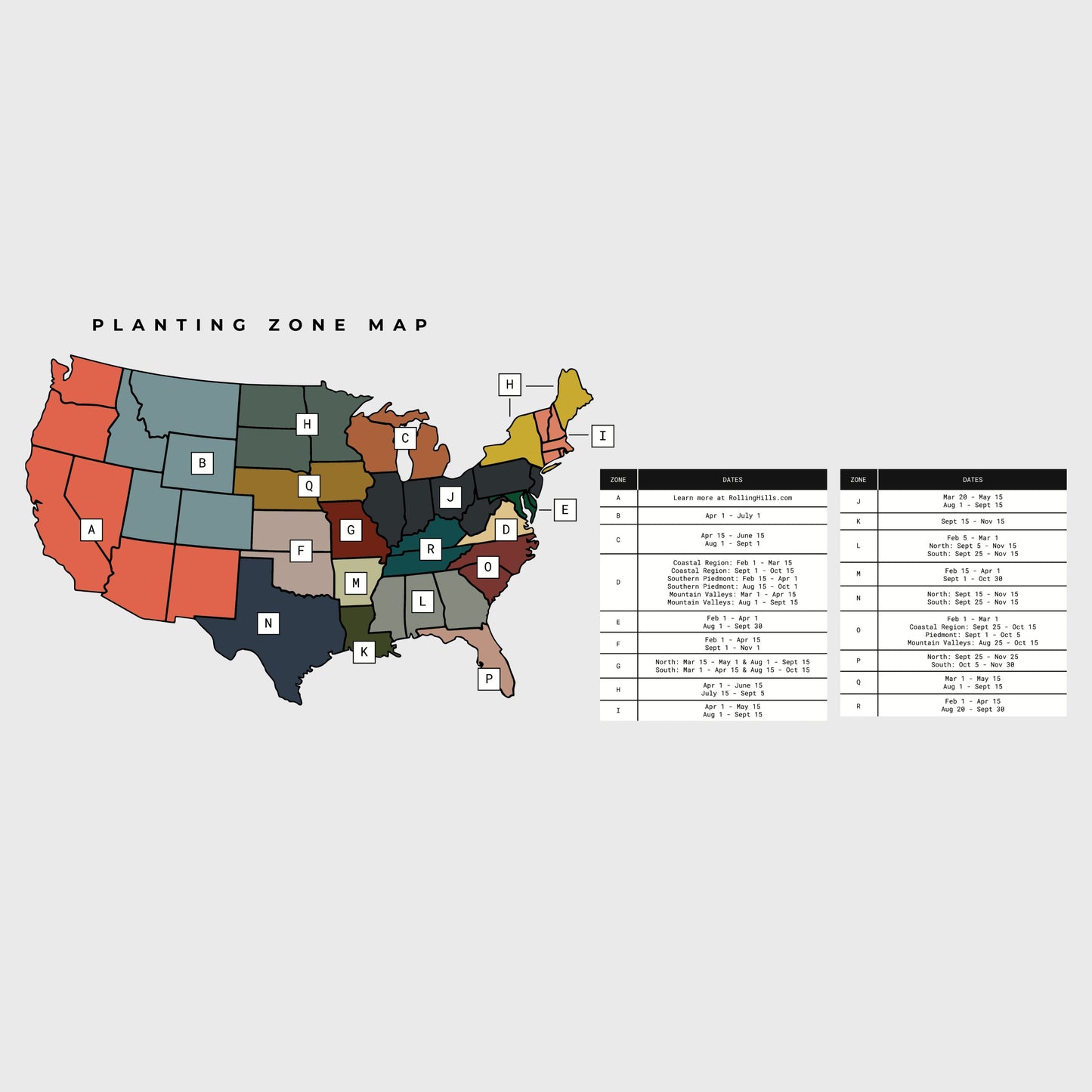 Chicory + Clover with Alfalfa
