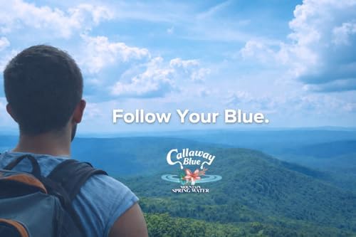 Callaway Blue Mountain Springwater, 24-Pack 0.5L Bottles