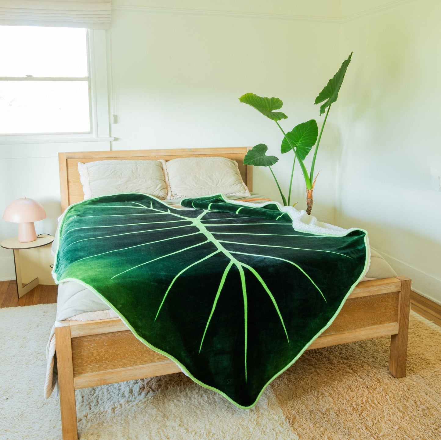 Regal Shield Giant Leaf Blanket
