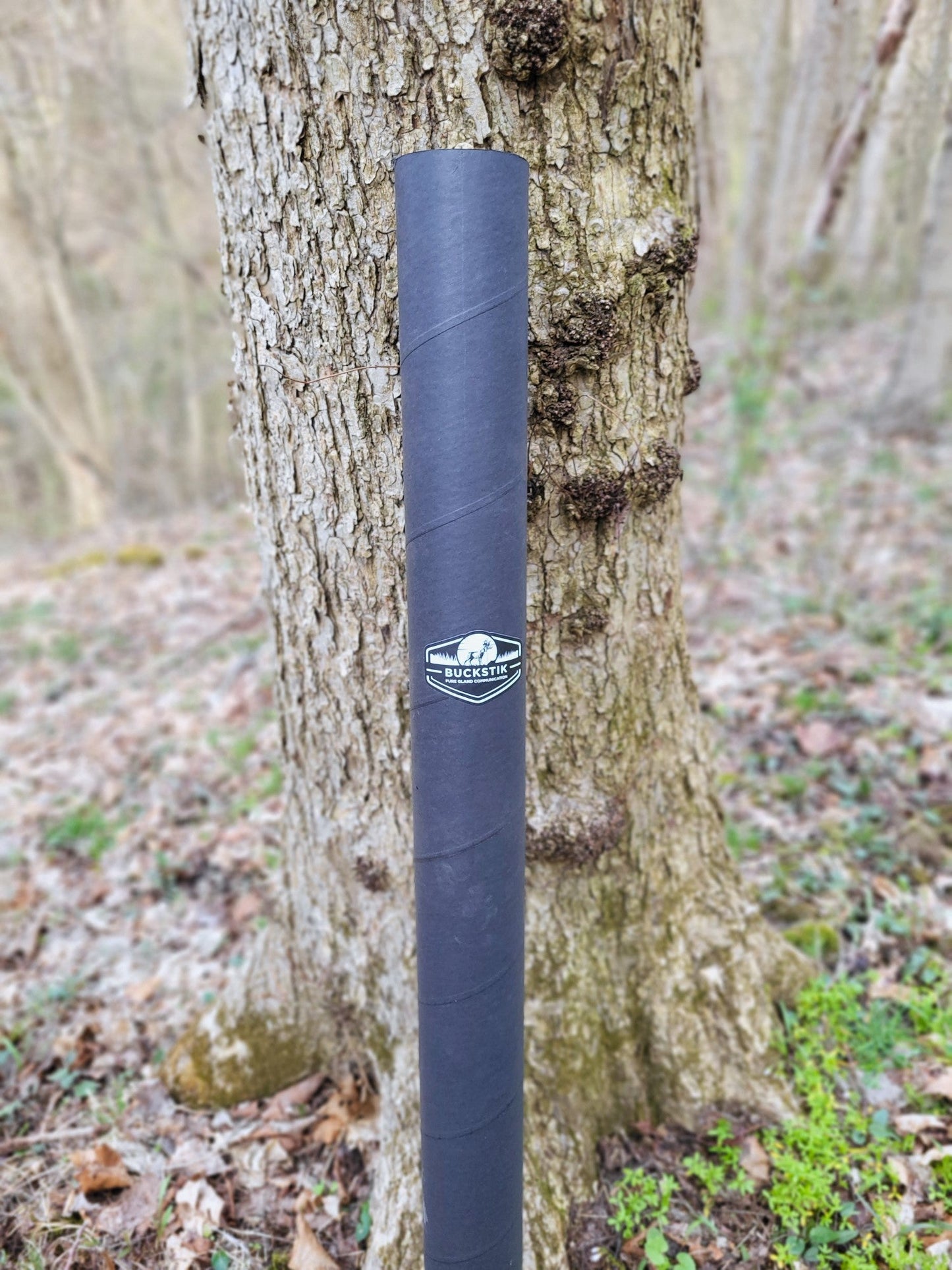 BuckBranch w/ 3 pack of Glands