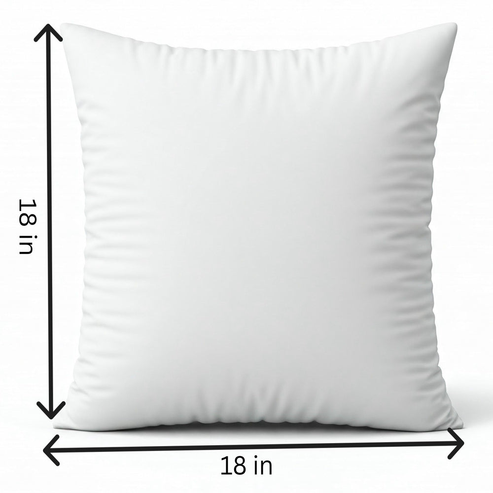 18"x18" square throw pillow set