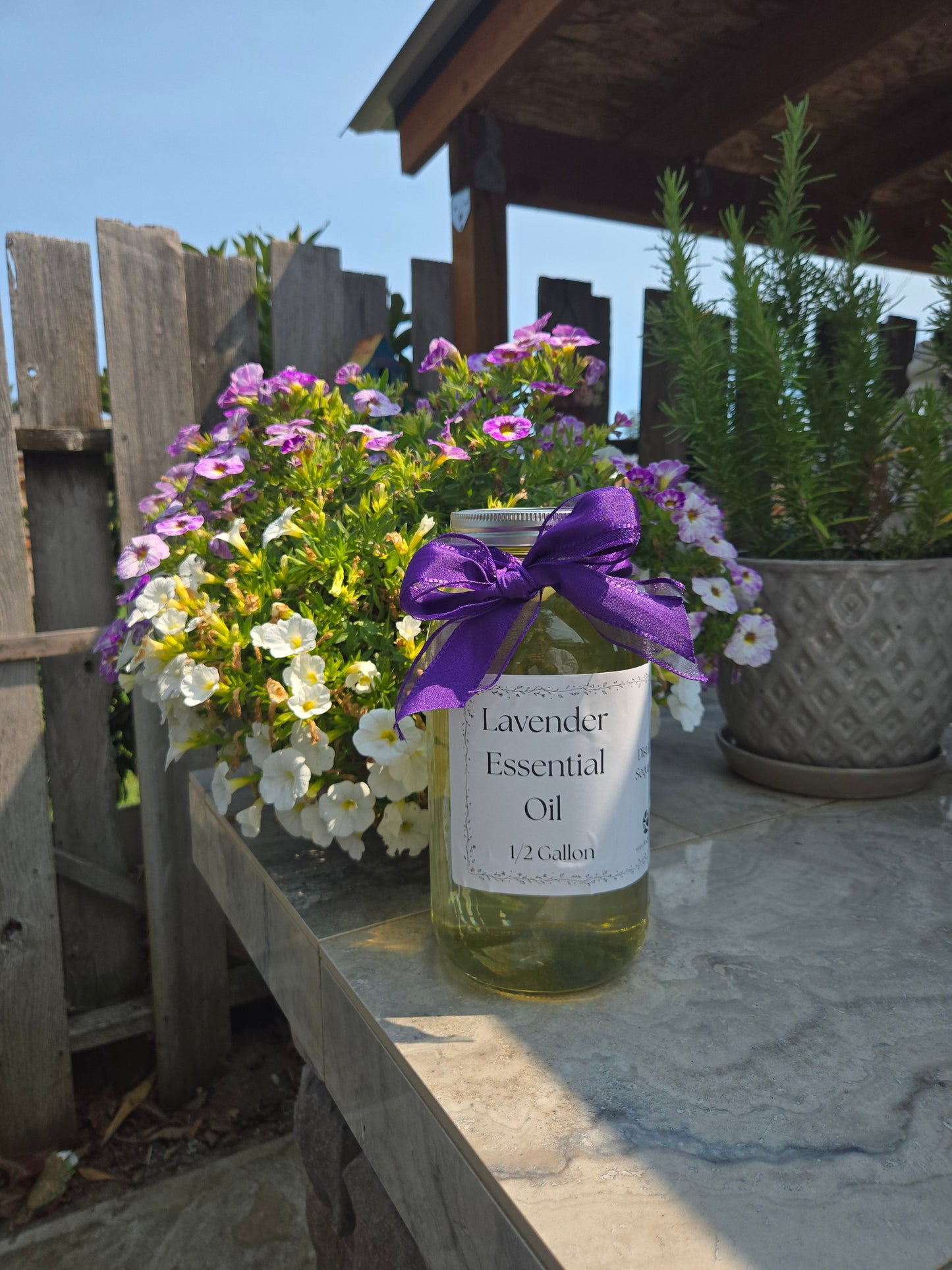 Lavender Essential Oil – 1/2 Gallon, Locally Sourced in WA