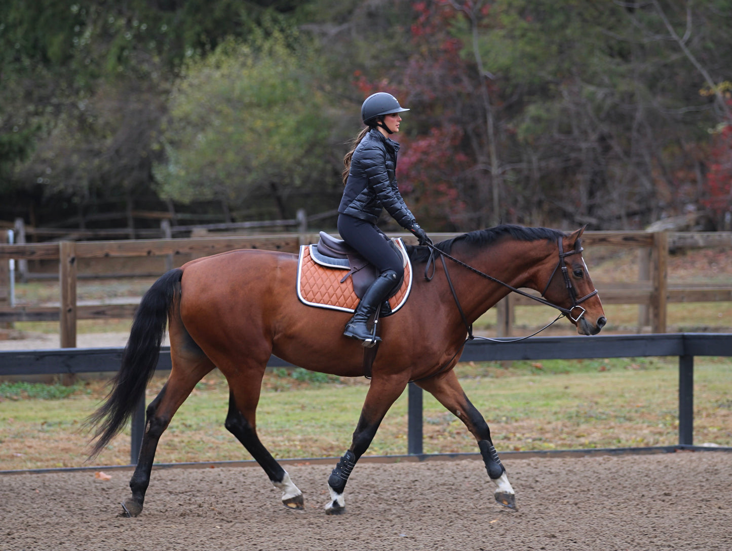 Saddle Pad | Cognac