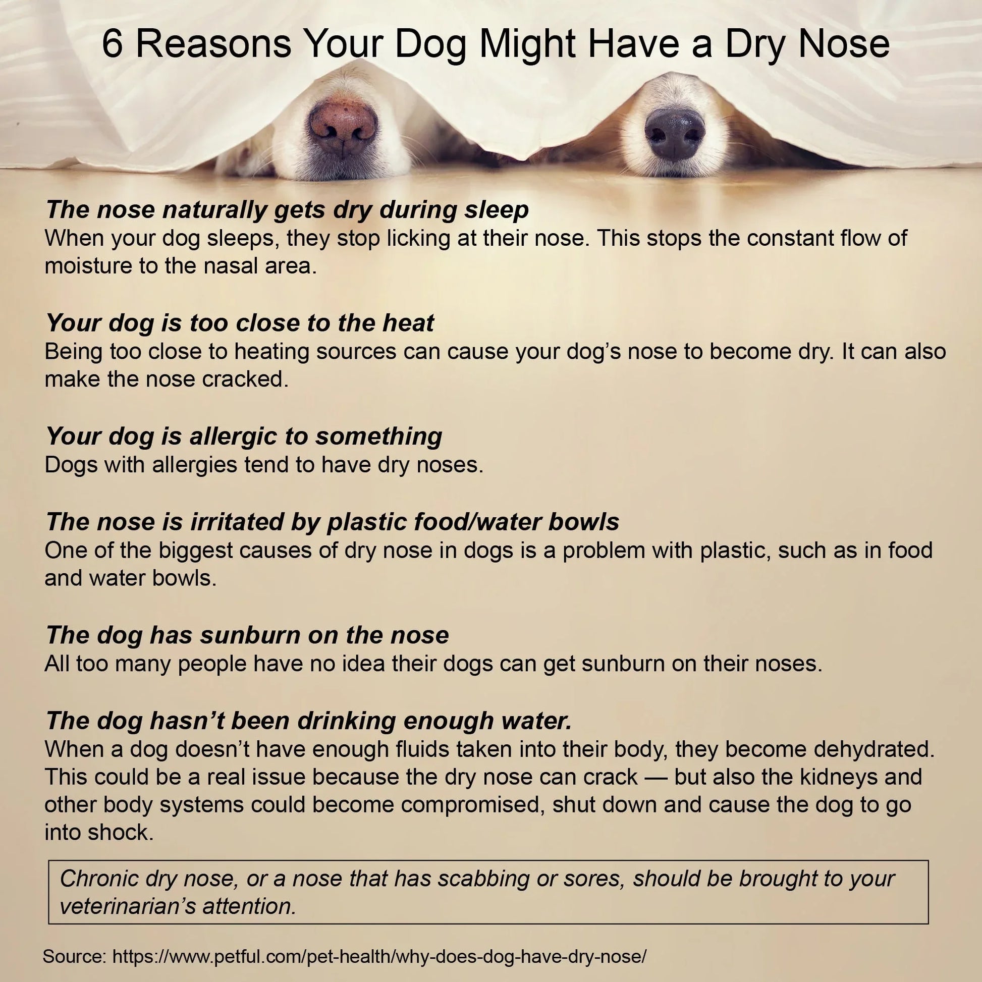 6ReasonDryNose - shoponestop.store