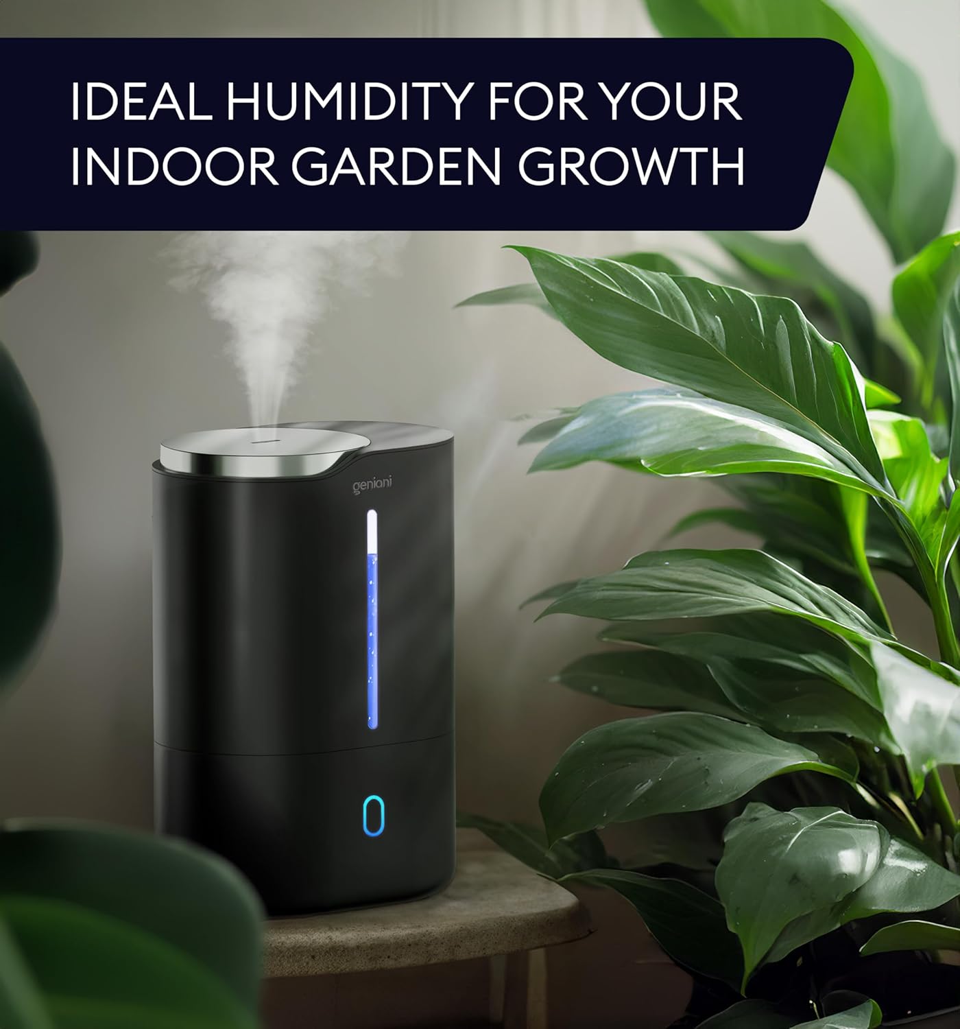 Huron Humidifier 6L Black
