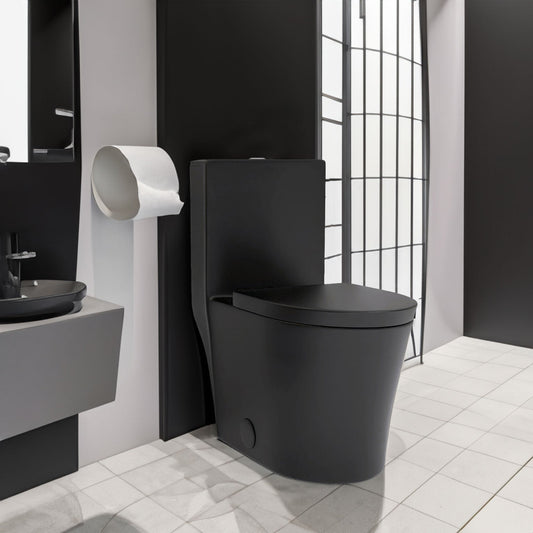Matte Black Elongated One Piece Toilet Dual Flush