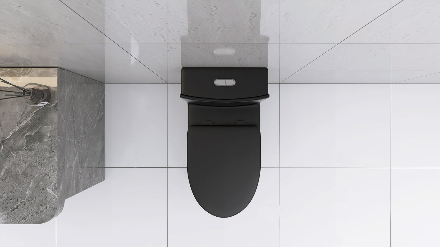 Matte Black Elongated One Piece Toilet Dual Flush