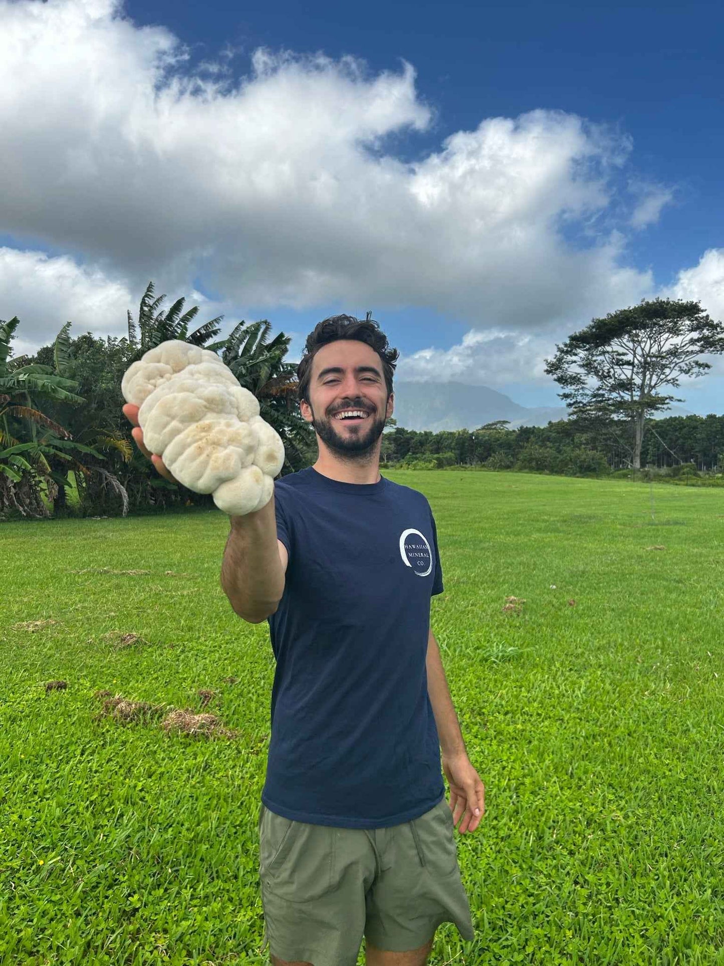 Lion’s Mane Cacao (energy)
