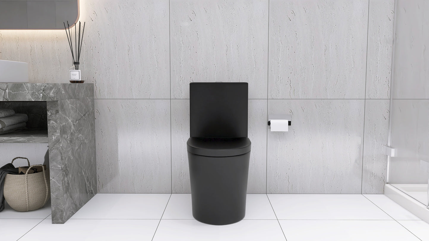 Matte Black Elongated One Piece Toilet Dual Flush