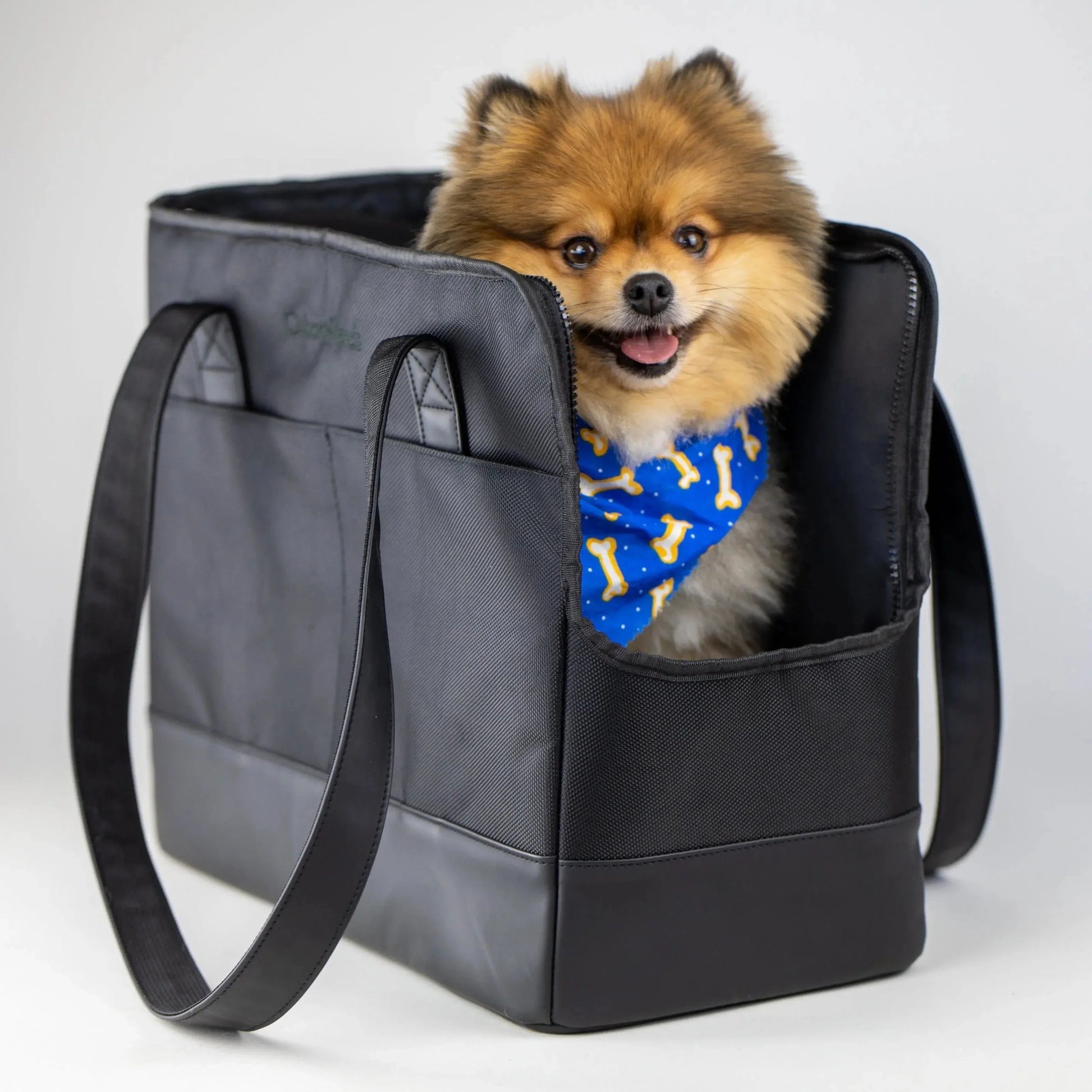 All-Black-Pet-Tote-bag-Oskar_Friends-1662783623 - shoponestop.store