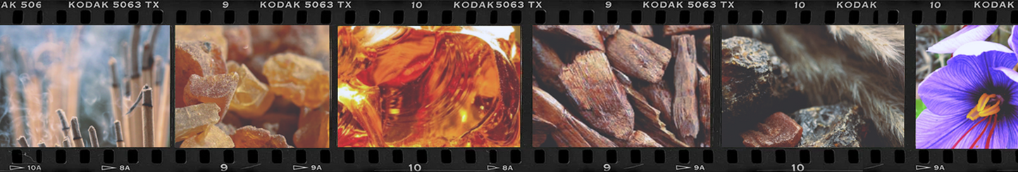 Flight No. 24 Almost Famous