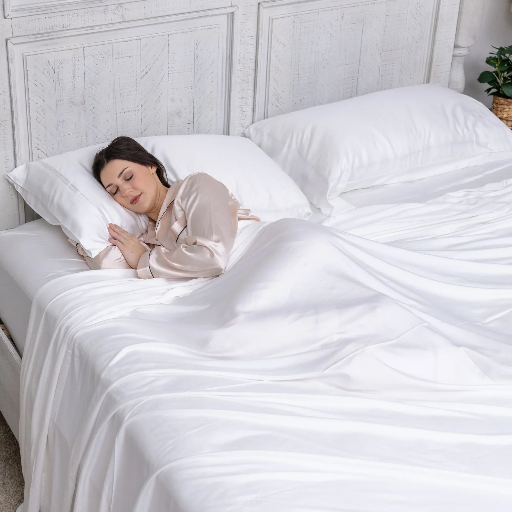 GL_Sheets_Listing_-_Raisin_2000_x_2000_px_12 - shoponestop.store