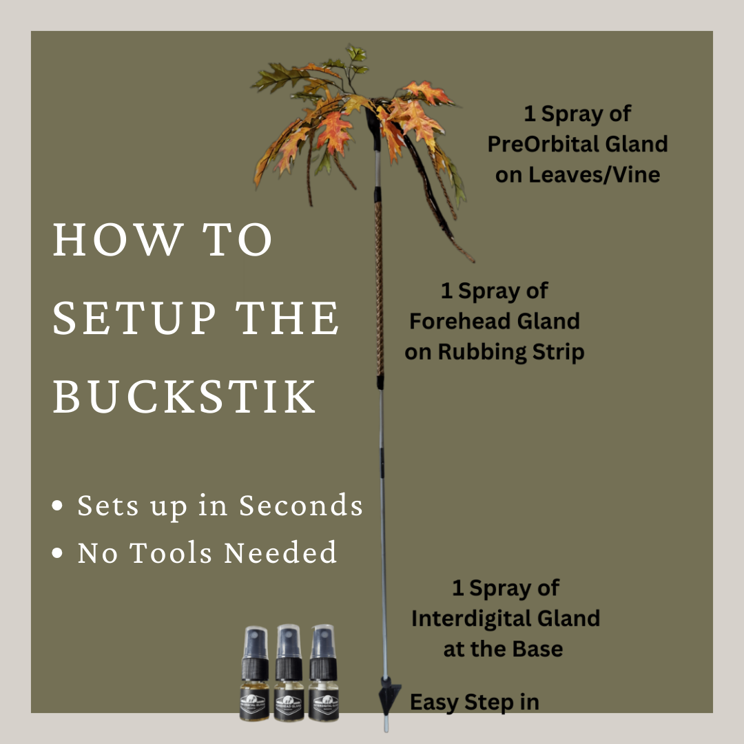 The "Ultimate Mock Scrape" Combo Pack