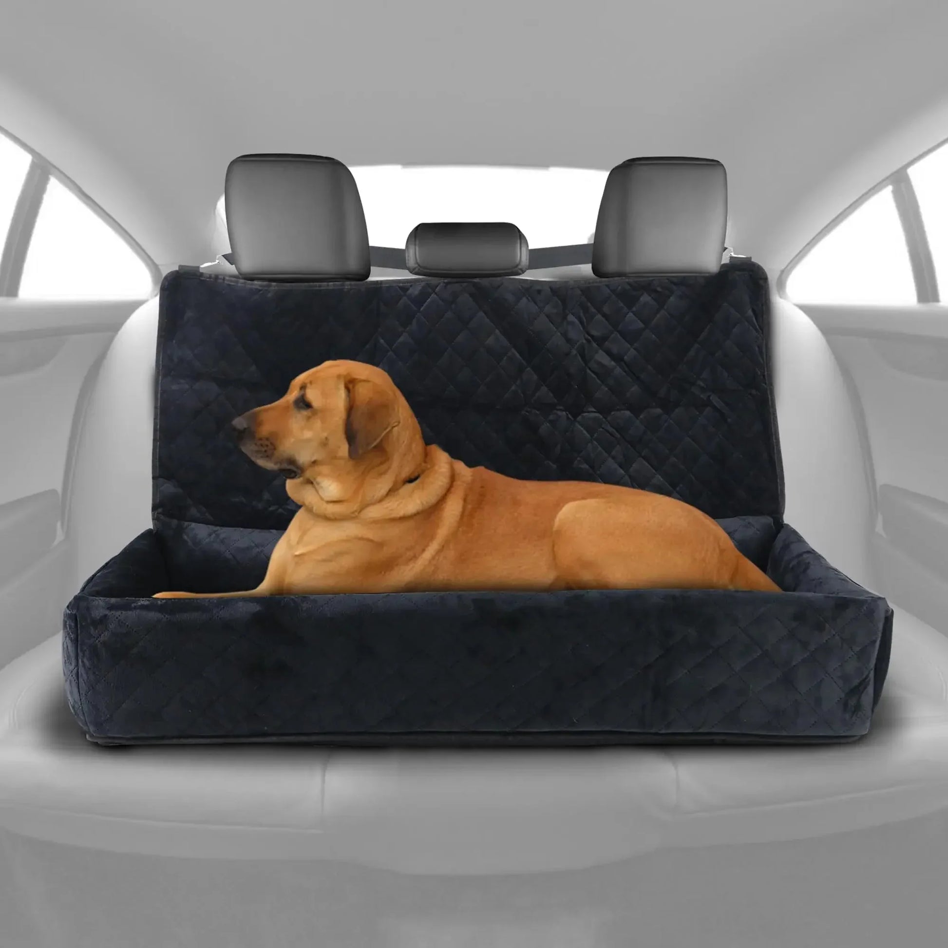 Huntley-Pet-Dog-Car-Seat-for-Large-Dogs_-Pet-Booster-Back-Set-Bed_-Black-Huntley-Equestrian-143283529 - shoponestop.store