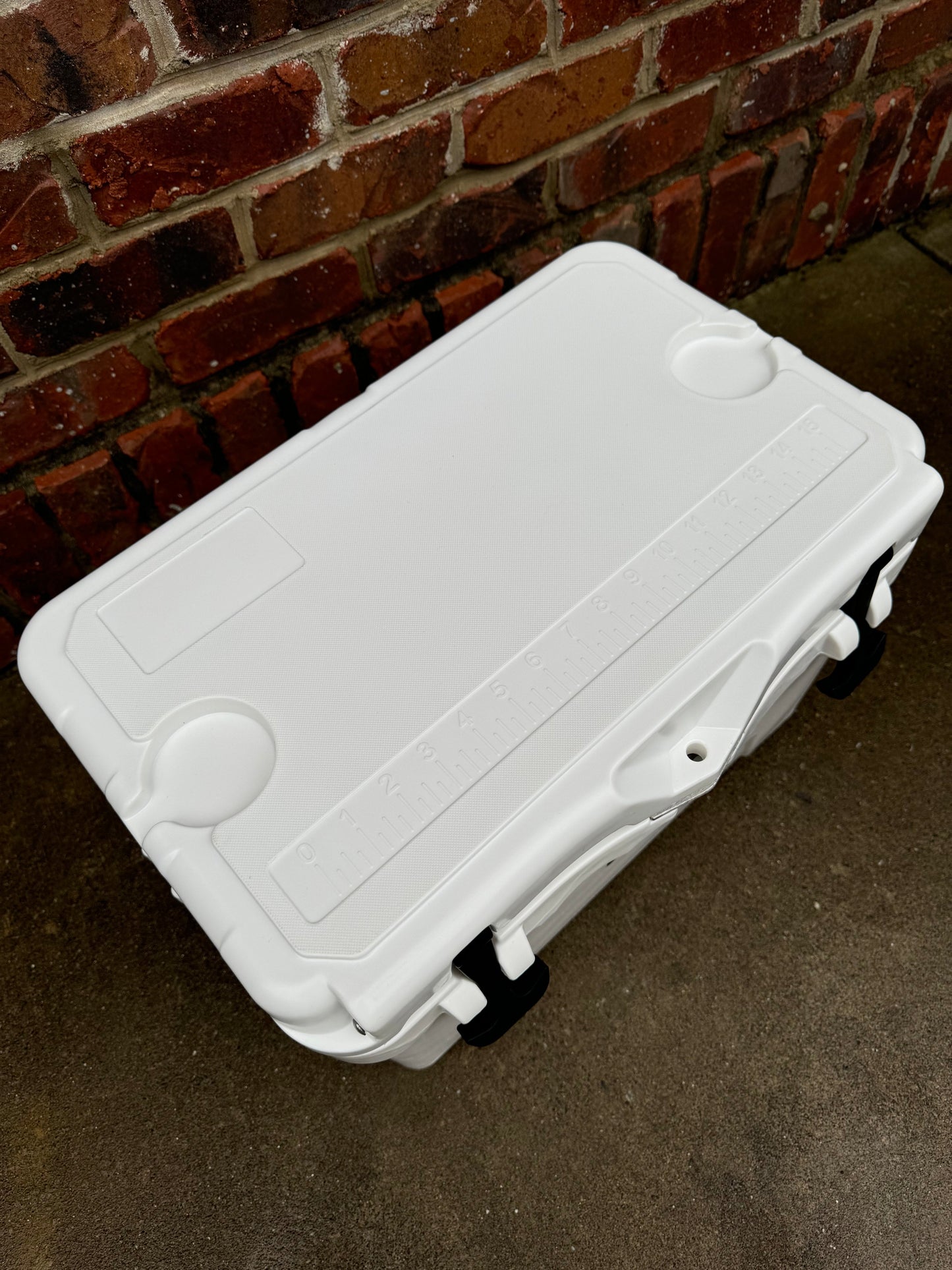 Polar Bear 20 Hard Cooler