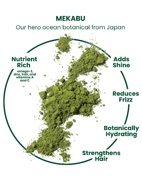 Pro-Ocean Refillable Shampoo Bottle for Sustainable Hair Care