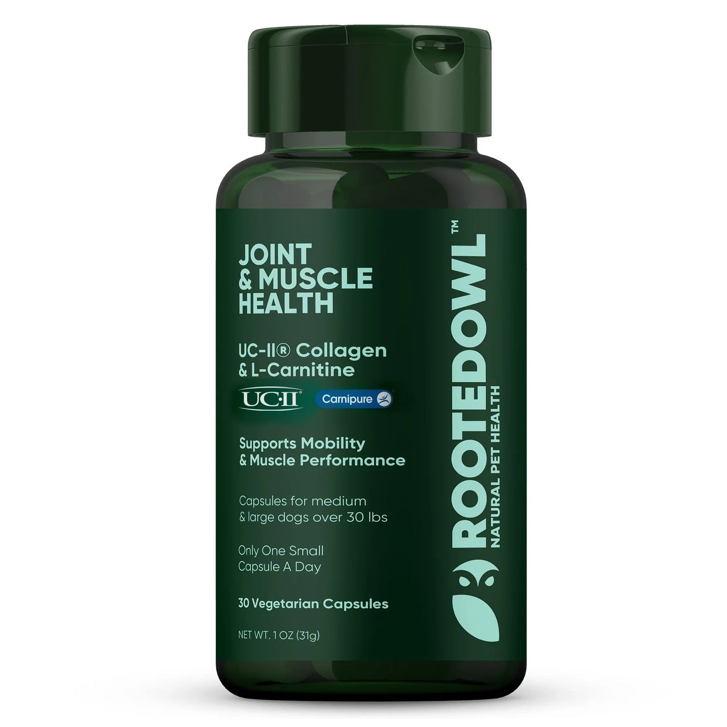 Joint_and_Muscle_Health_1_1 - shoponestop.store