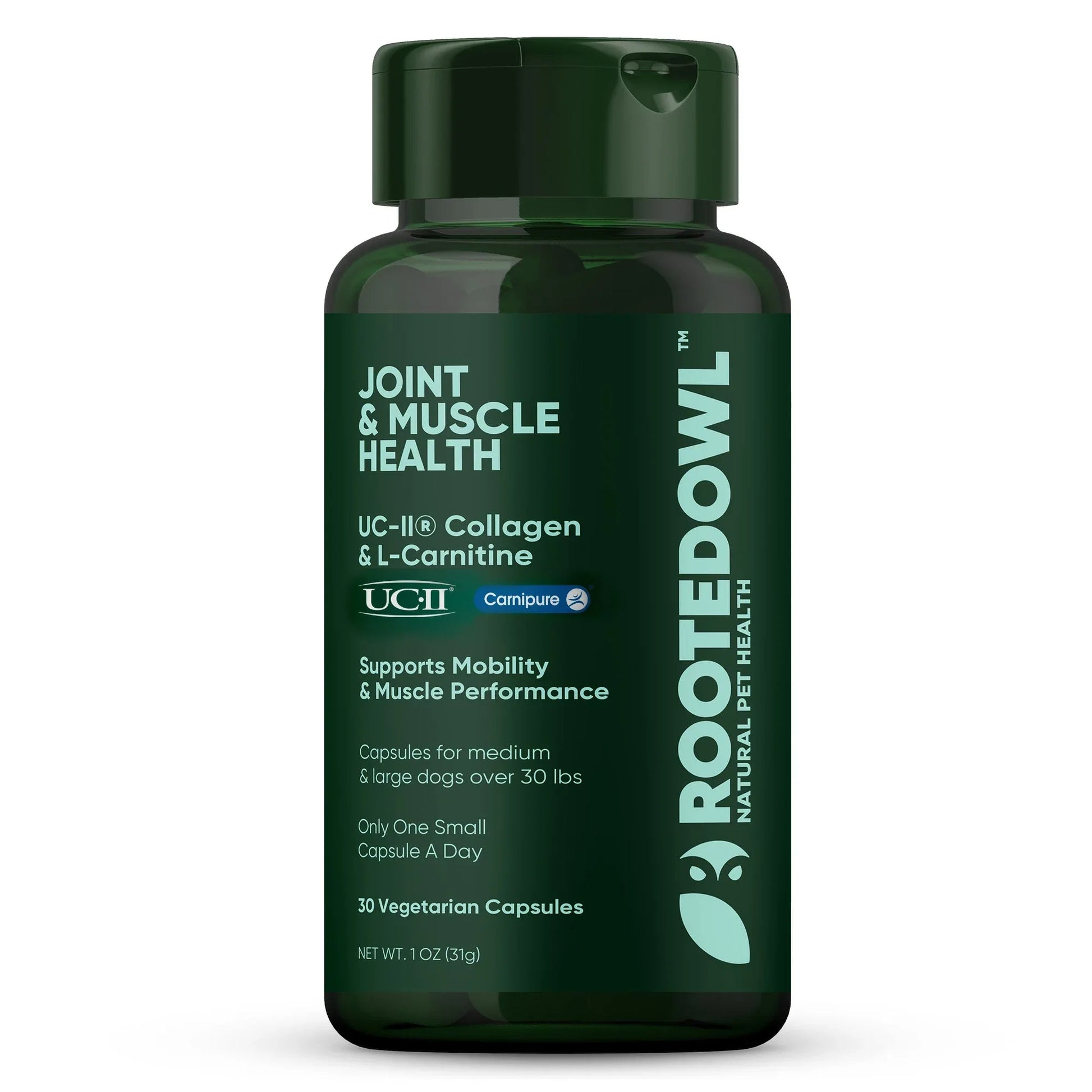 Joint_and_Muscle_Health_1_1 - shoponestop.store