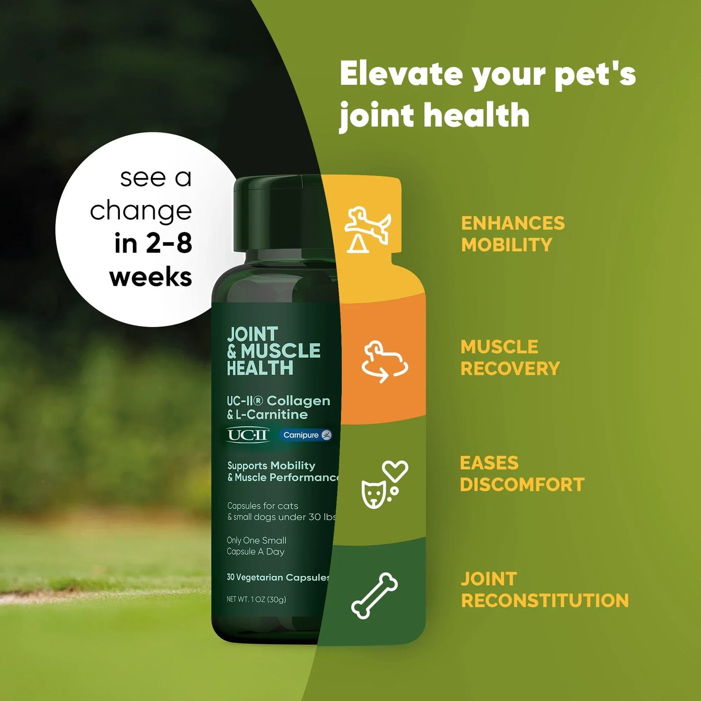 JointandMuscleHealth-Small3_5304bd38-4fd0-4a2a-9e8a-0366a30a01c2 - shoponestop.store
