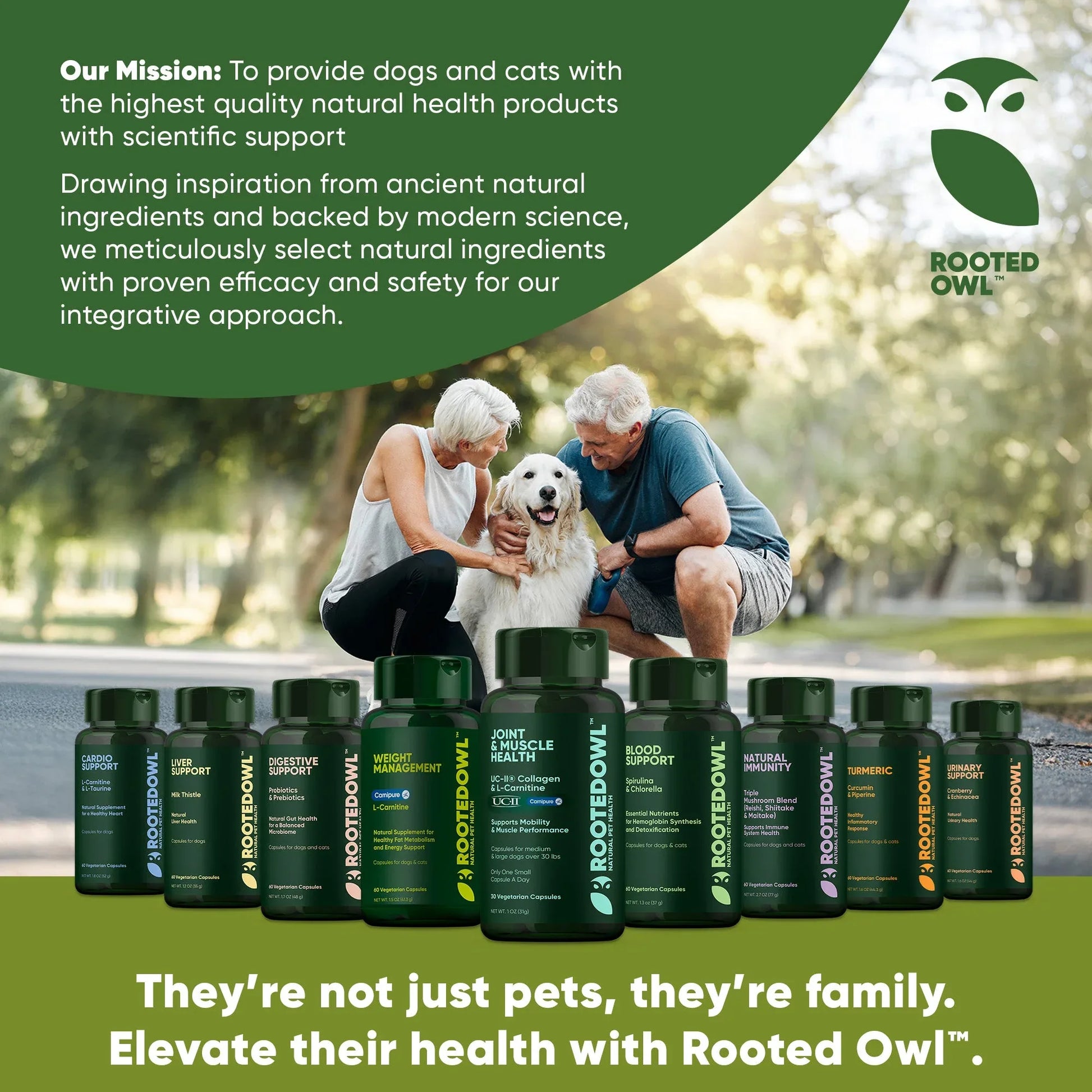 JointandMuscleHealth-Small6_696e5c5d-9013-4572-a8eb-d5775f6e71df - shoponestop.store
