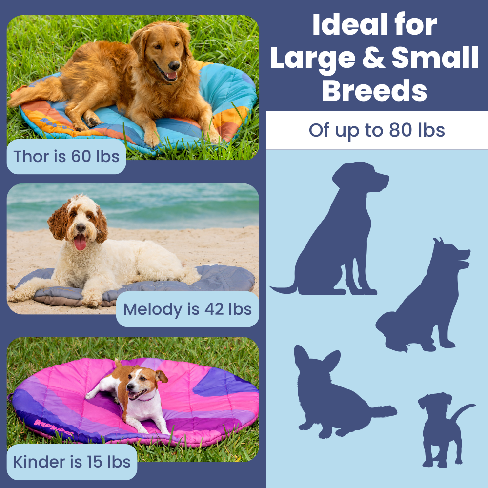 Travel Dog Bed – Foldable, Lightweight, Water Resistant Mat