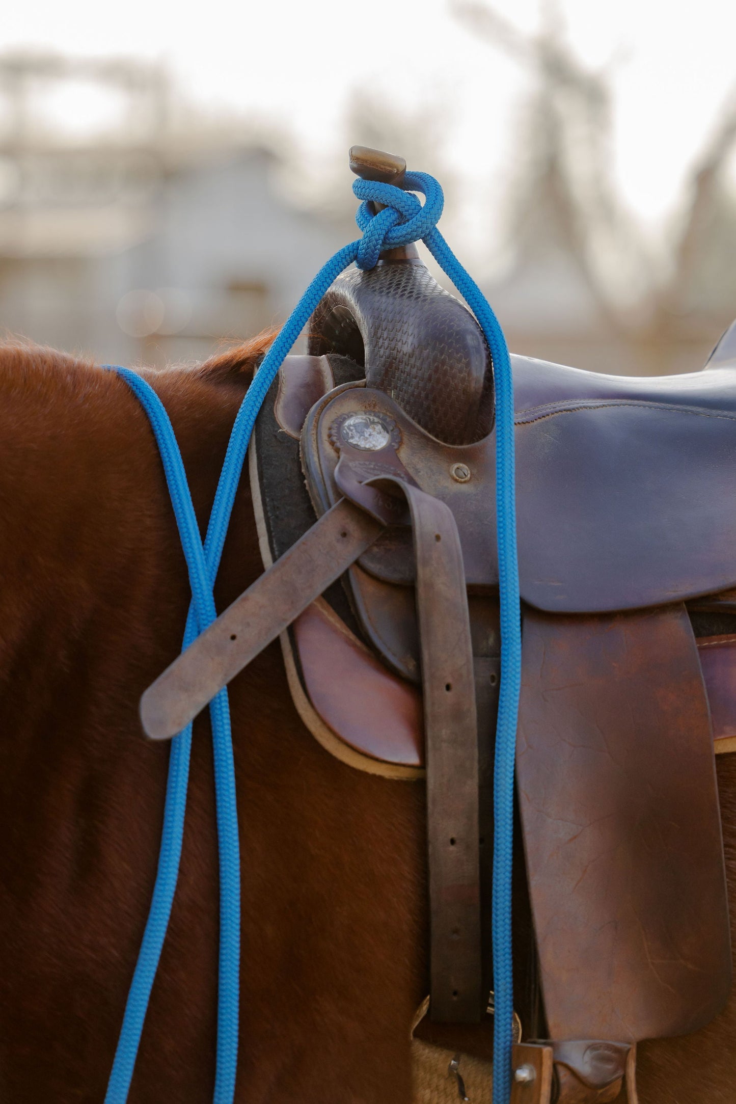 "California" Collection Set