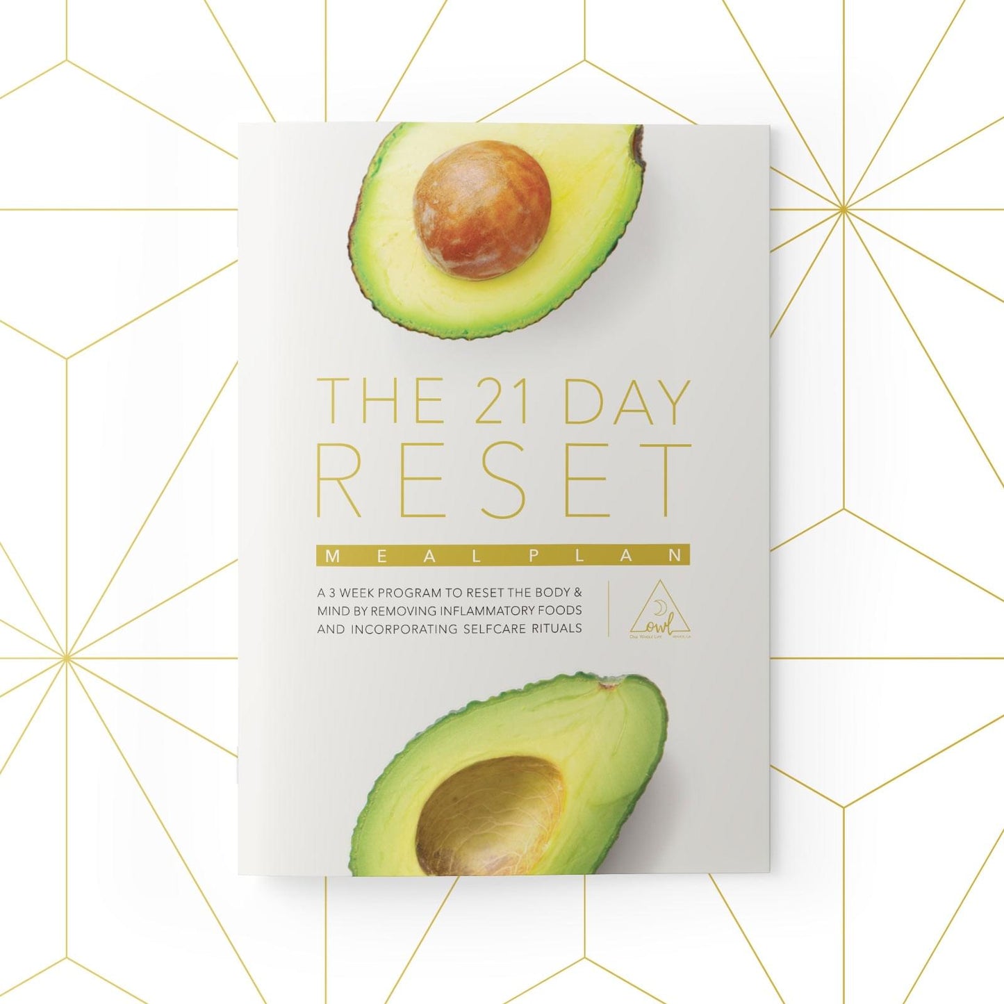 OWL-21-Day-Reset-Product-IMG-01_257649de-dc19-47bd-a222-221aefcbbd24 - shoponestop.store