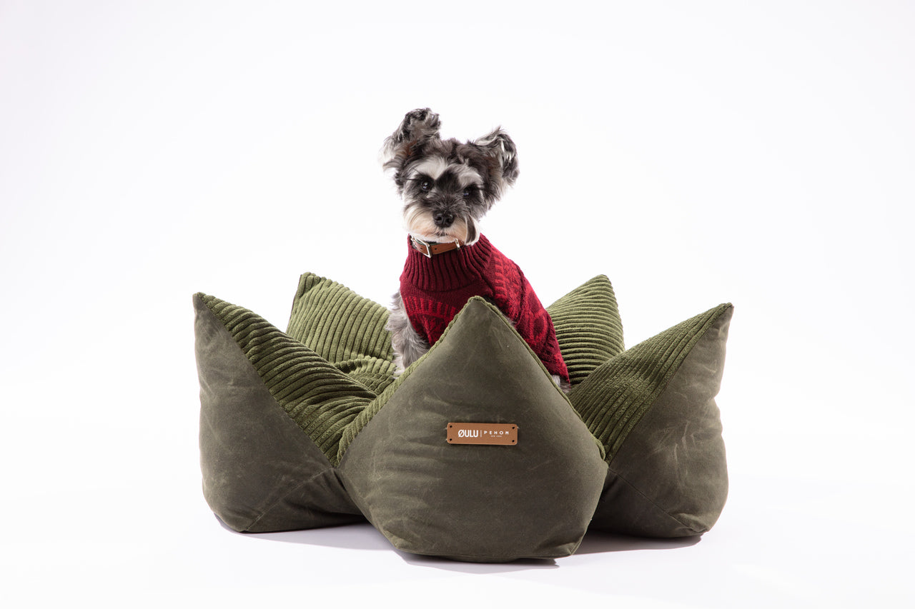 OULU X PEHOM - CUDDLE PET PILLOW BED