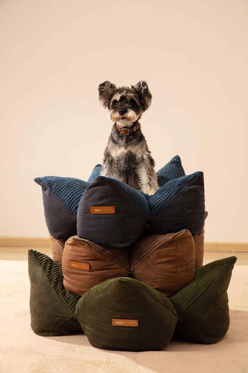 OULU X PEHOM - CUDDLE PET PILLOW BED