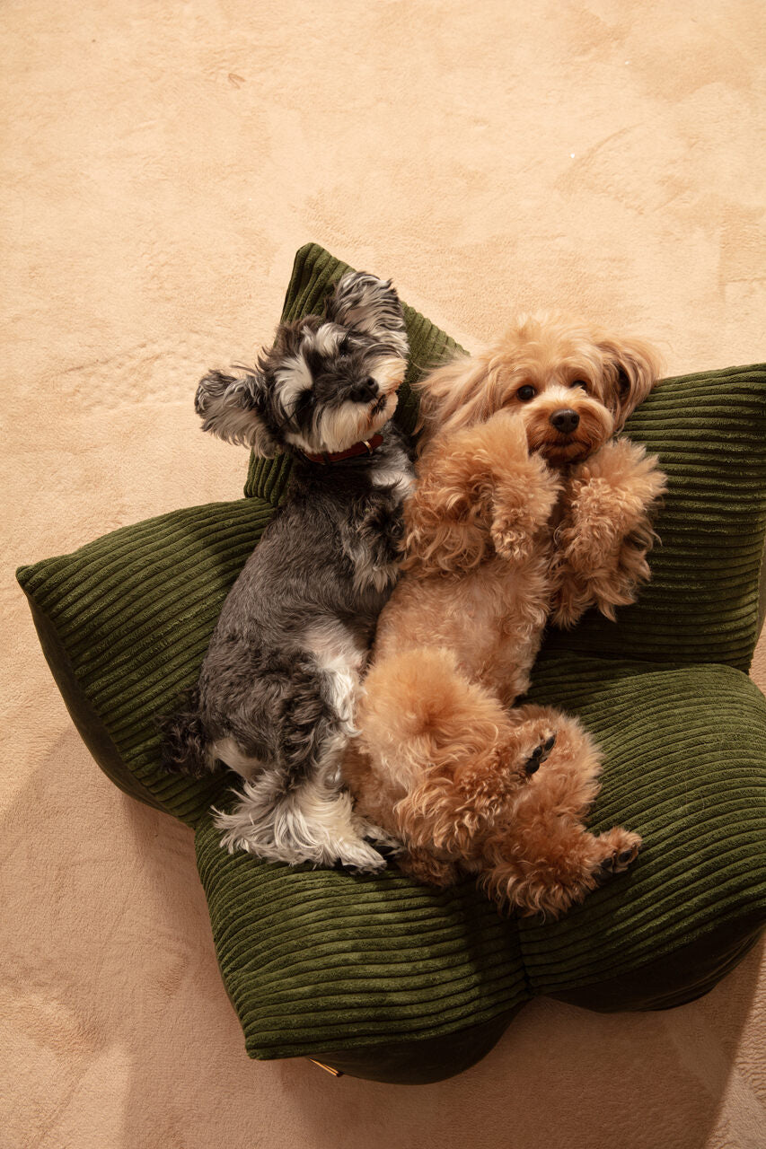 OULU X PEHOM - CUDDLE PET PILLOW BED