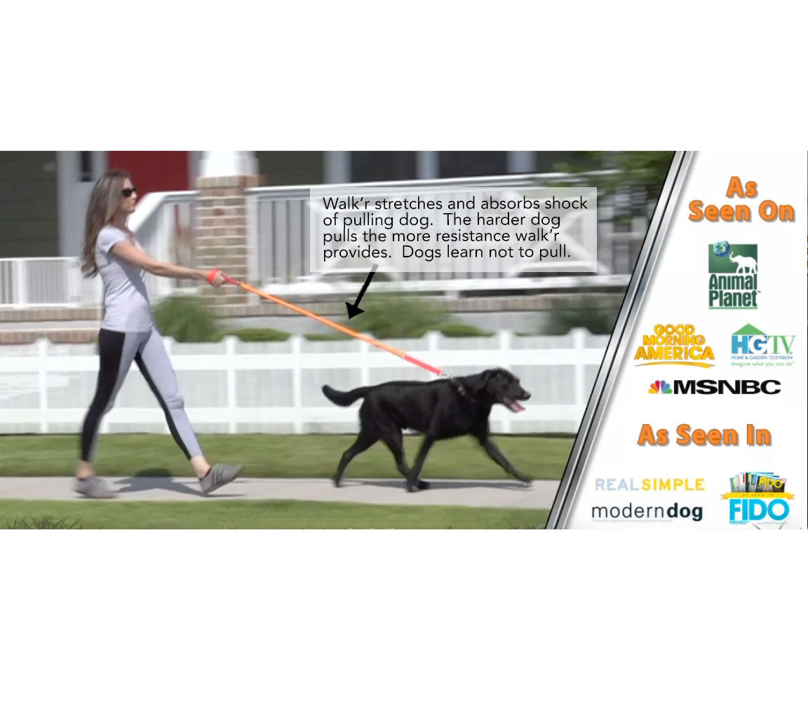 Longest No Pull Leash - Wacky Walk'r
