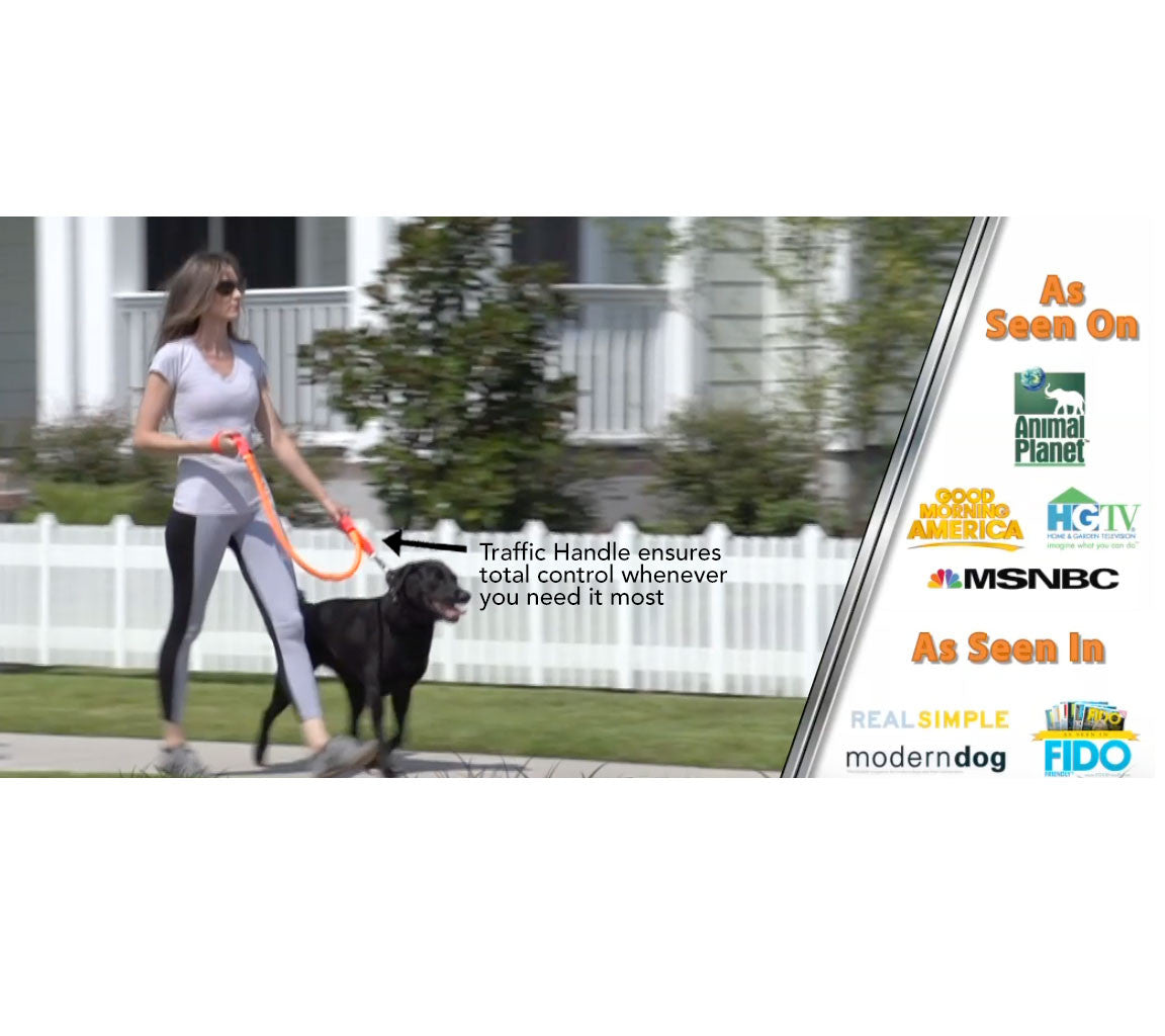 Longest No Pull Leash - Wacky Walk'r