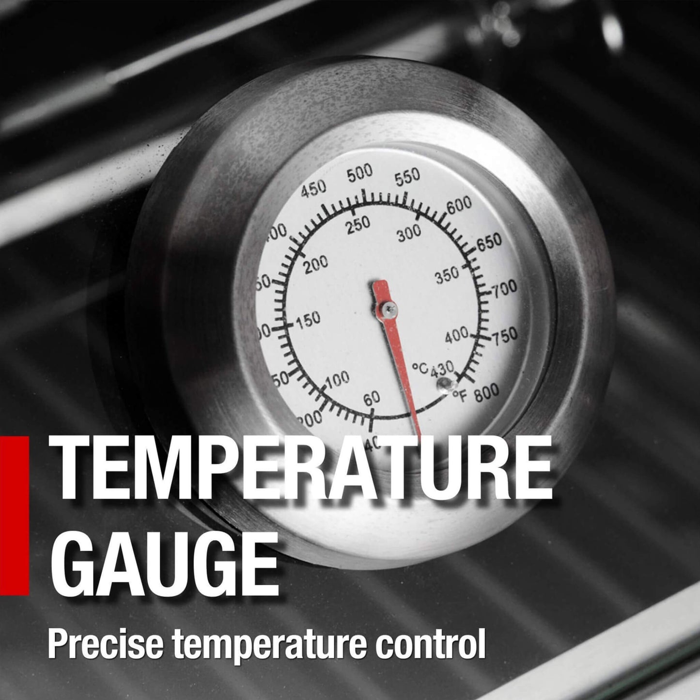 Black Stainless Steel 6-Burner Gas Grill