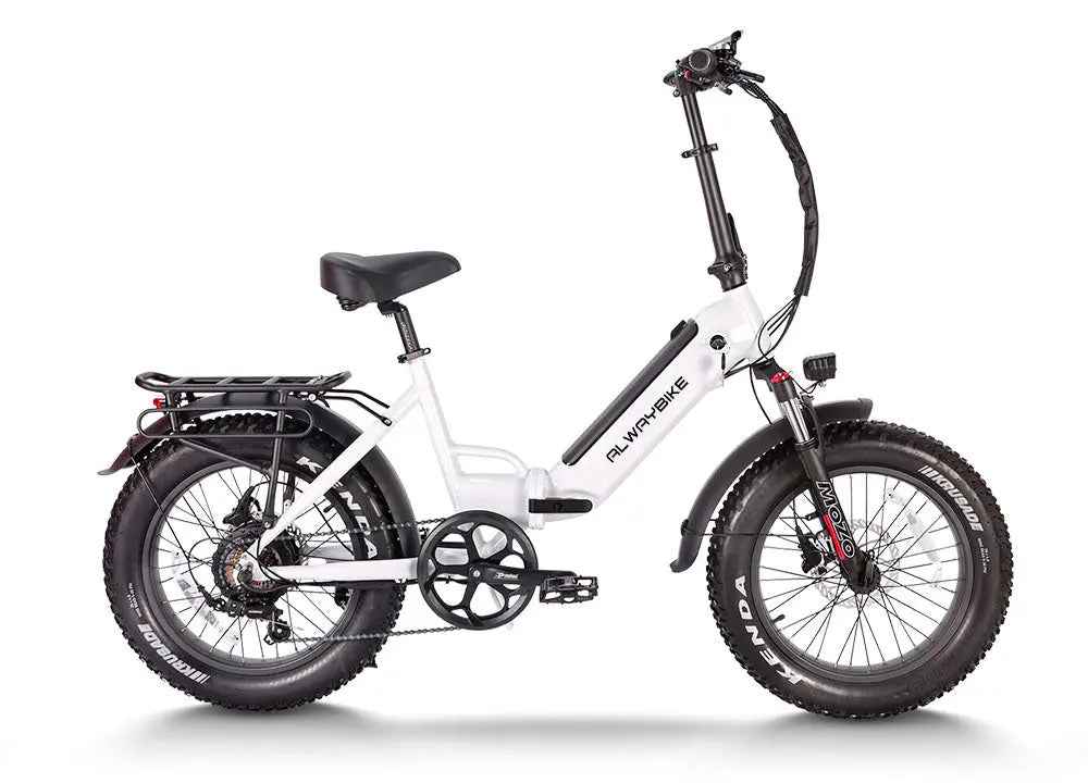 CEMOTO EBIKE