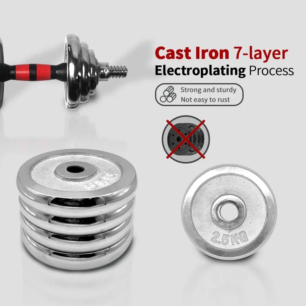 Adjustable Dumbbell Set Home Gym Cast Iron Barbell Sets with Carry Box 66lbs