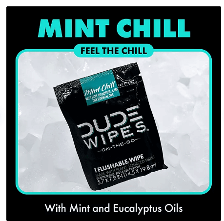Dude Wipes XL Mint Flushable Wipes 4 Pack (120 Wipes) Sewer & Septic Safe