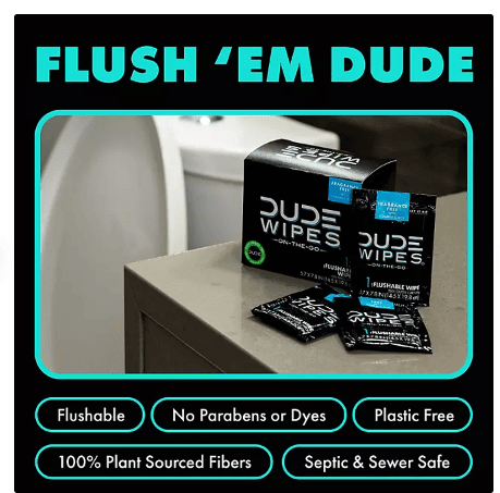 Dude Wipes XL Mint Flushable Wipes 4 Pack (120 Wipes) Sewer & Septic Safe