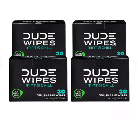 Dude Wipes XL Mint Flushable Wipes 4 Pack (120 Wipes) Sewer & Septic Safe