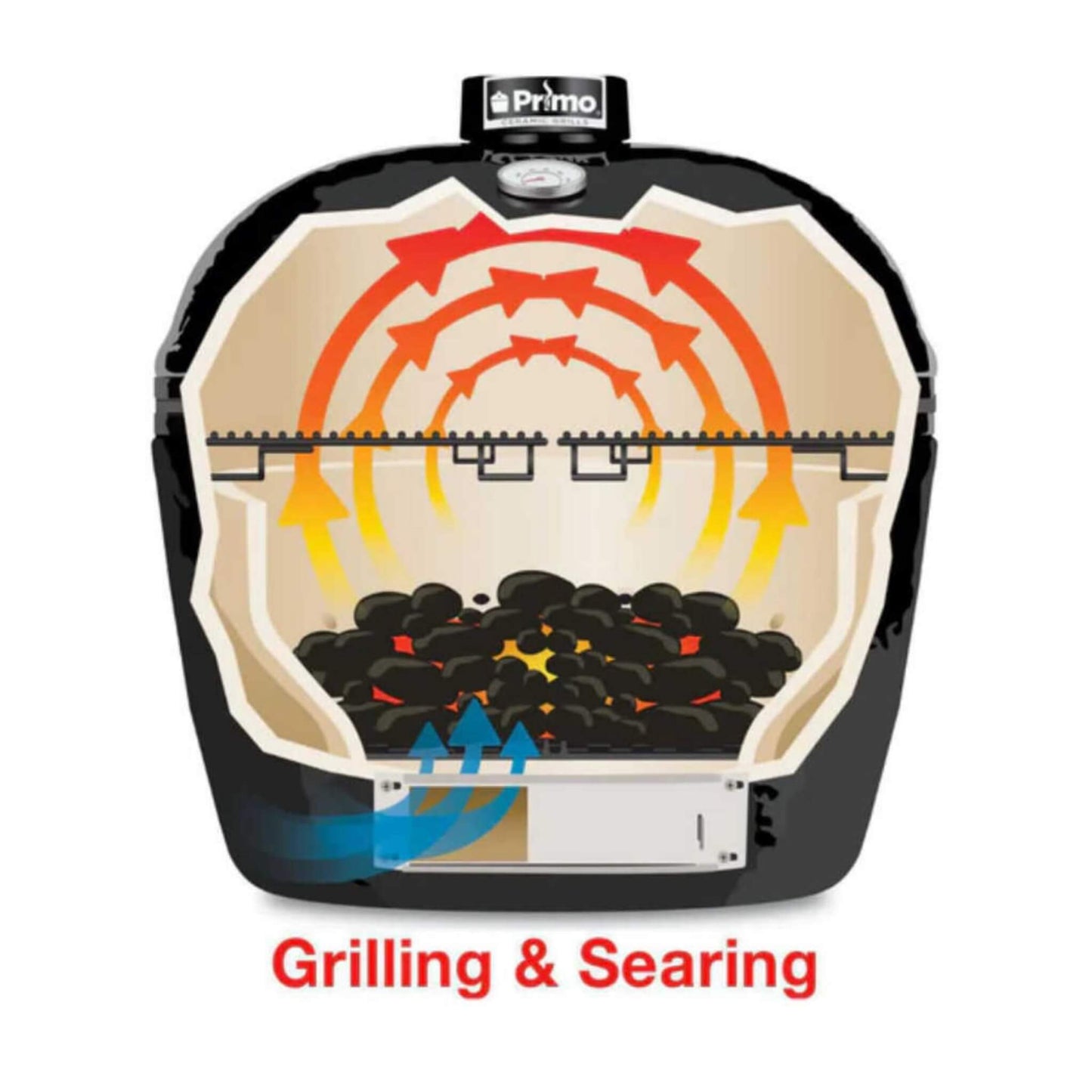 Primo Oval XXL All-In-One Ceramic Charcoal Grill